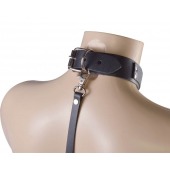 Черный ошейник с металлическими зажимами на соски и поводком - Sitabella - купить с доставкой в Грозном