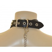 Ошейник  Веселый Роджер - Sitabella - купить с доставкой в Грозном