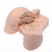 Мастурбатор-полуторс Naked Factory Kate - Naked Factory - в Грозном купить с доставкой