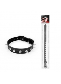 Черный ошейник с серебристыми шипами - Notabu - купить с доставкой в Грозном