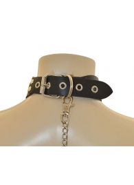 Ошейник  Веселый Роджер - Sitabella - купить с доставкой в Грозном