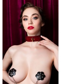 Красный ошейник из лакированного материала - ToyFa - купить с доставкой в Грозном