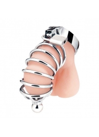 Серебристая клетка для члена Urethral Play Cage - BlueLine - купить с доставкой в Грозном
