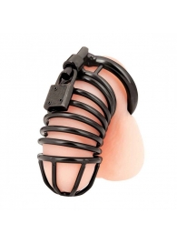 Черная металлическая клетка с замком Deluxe Chastity Cage - BlueLine - купить с доставкой в Грозном
