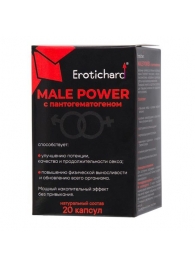 Капсулы для мужчин Erotichard male power с пантогематогеном - 20 капсул (0,370 гр.) - Erotic Hard - купить с доставкой в Грозном