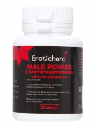 Капсулы для мужчин Erotichard male power с пантогематогеном - 20 капсул (0,370 гр.) - Erotic Hard - купить с доставкой в Грозном