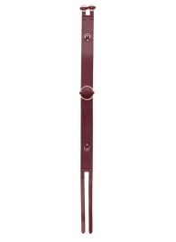 Бордовый ремень Halo Waist Belt - размер L-XL - Shots Media BV - купить с доставкой в Грозном