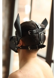 Эффектная маска собаки с металлическими заклепками - БДСМ Арсенал - купить с доставкой в Грозном
