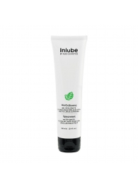 Водный лубрикант Nuei Inlube с алоэ вера и ароматом мяты - 100 мл. - Nuei cosmetics - купить с доставкой в Грозном