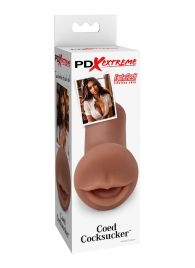 Мастурбатор-ротик Coed Cocksucker - Pipedream - в Грозном купить с доставкой