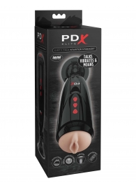 Мастурбатор-вагина с вибрацией Dirty Talk Starter Stroker - Pipedream - в Грозном купить с доставкой