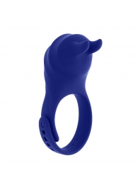 Синее эрекционное виброкольцо с клиторальной подушечкой и пультом ДУ Adjustable Fun Ring - Zero Tolerance - в Грозном купить с доставкой