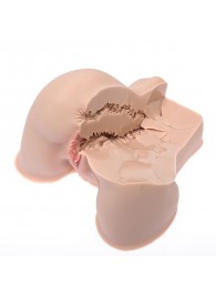 Мастурбатор-полуторс Naked Factory Kate - Naked Factory - в Грозном купить с доставкой