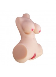 Мастурбатор-торс Aveline с 2 любовными тоннелями - Baile - в Грозном купить с доставкой