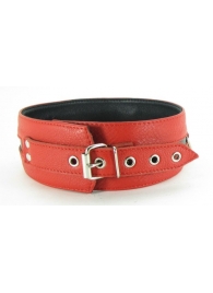 Черно-красный кожаный ошейник увеличенного размера - БДСМ Арсенал - купить с доставкой в Грозном