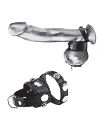 Утяжка для мошонки и пениса Cock Ring With 1  Ball Stretcher And Optional Weight Ring - BlueLine - купить с доставкой в Грозном