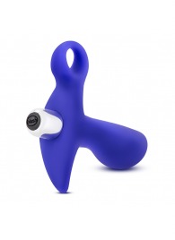 Синий стимулятор простаты с ручкой-кольцом Performance Prostimulator 02 - Blush Novelties - в Грозном купить с доставкой