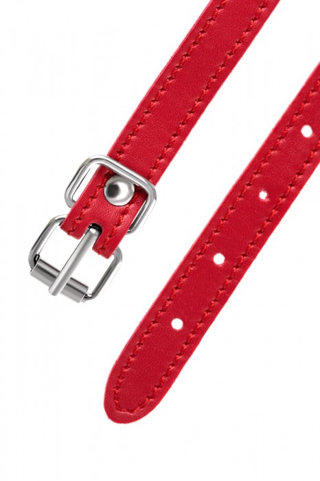 Красная маска Anonymo из искусственной кожи - ToyFa - купить с доставкой в Грозном