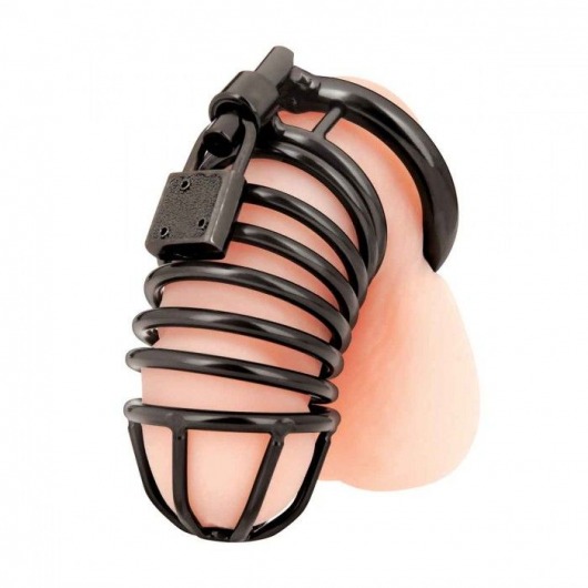 Черная металлическая клетка с замком Deluxe Chastity Cage - BlueLine - купить с доставкой в Грозном