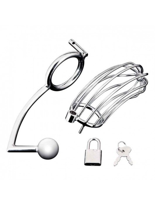 Серебристая металлическая клетка с анальным стимулятором Cock Cage - BlueLine - купить с доставкой в Грозном