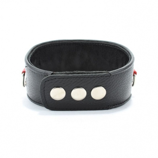 Кожаный ошейник с металлическими клепками - БДСМ Арсенал - купить с доставкой в Грозном