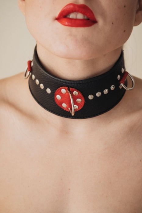 Кожаный ошейник с металлическими клепками - БДСМ Арсенал - купить с доставкой в Грозном