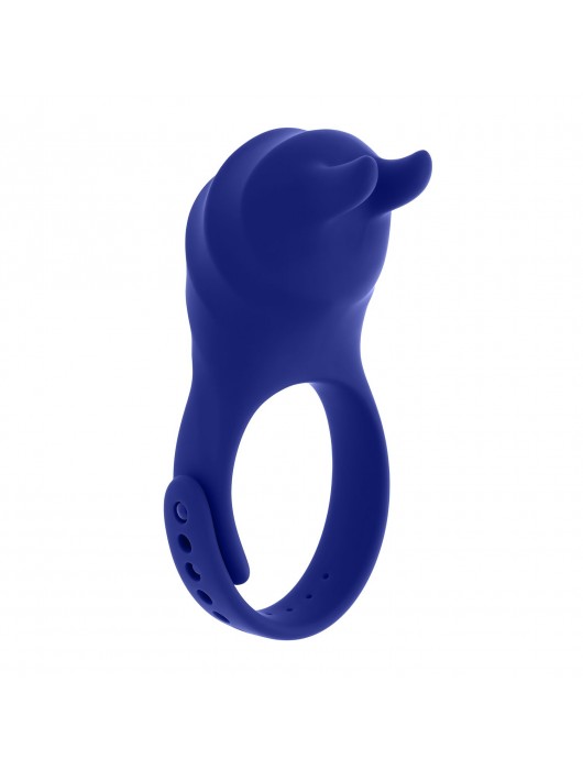 Синее эрекционное виброкольцо с клиторальной подушечкой и пультом ДУ Adjustable Fun Ring - Zero Tolerance - в Грозном купить с доставкой