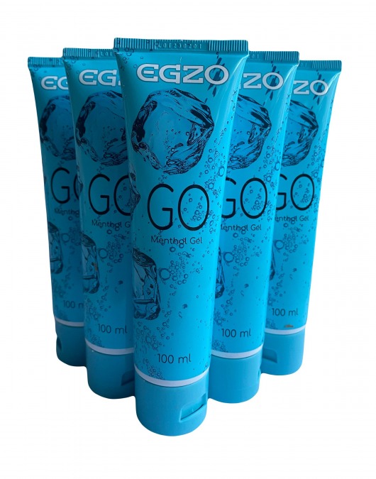 Набор из 5 пролонгирующих лубрикантов на водной основе Egzo Go (по 100 мл.) - EGZO - купить с доставкой в Грозном