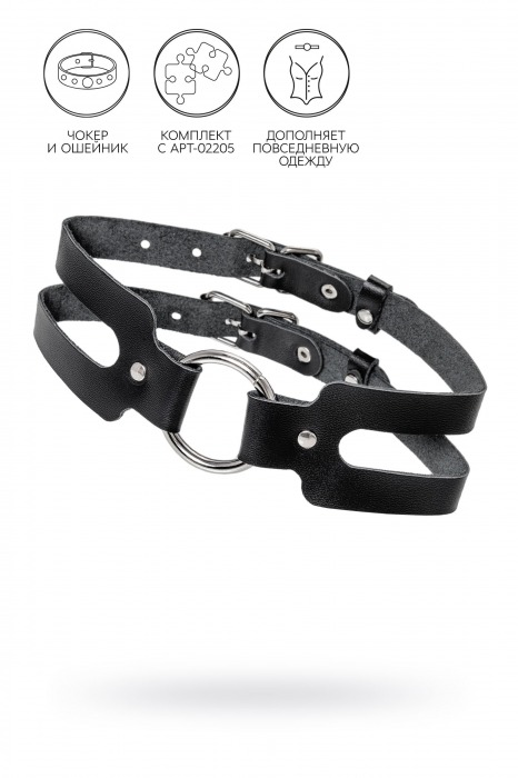 Черный кожаный чокер-ошейник из двух ремешков - Pecado - купить с доставкой в Грозном