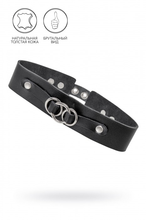 Черный чокер-ошейник со связанными кольцами на подложке - Pecado - купить с доставкой в Грозном