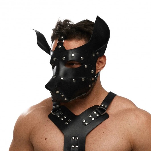 Черная кожаная маска «Собака» - Crazy Handmade - купить с доставкой в Грозном