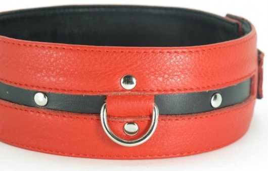 Черно-красный кожаный ошейник увеличенного размера - БДСМ Арсенал - купить с доставкой в Грозном