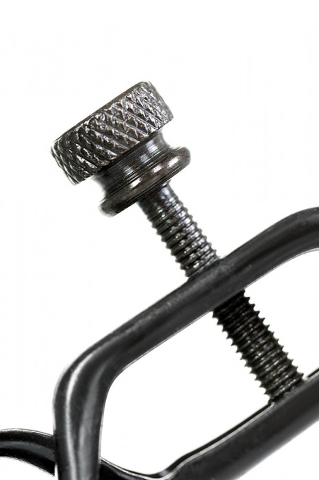 Черно-золотистые зажимы для сосков TOYFA Theatre - ToyFa - купить с доставкой в Грозном