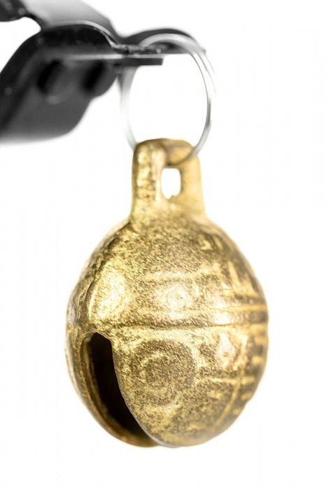 Черно-золотистые зажимы для сосков TOYFA Theatre - ToyFa - купить с доставкой в Грозном